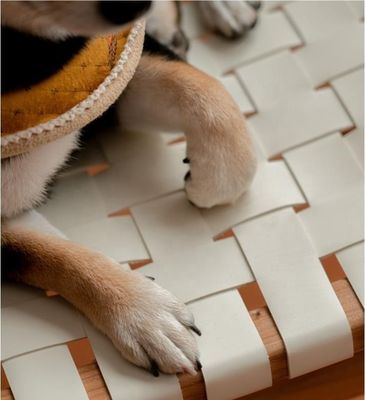 Hotel Nordic Design Sedile di cavallo in legno di cenere massiccio Sedile di pelle tessuto Sedile da pranzo impilabile per caffè e ristorante moderni