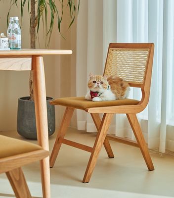 Home Arredamento Finitura laccata Sedile da pranzo in legno massello con cuscino e schienale in rotino naturale per mobili di design moderno